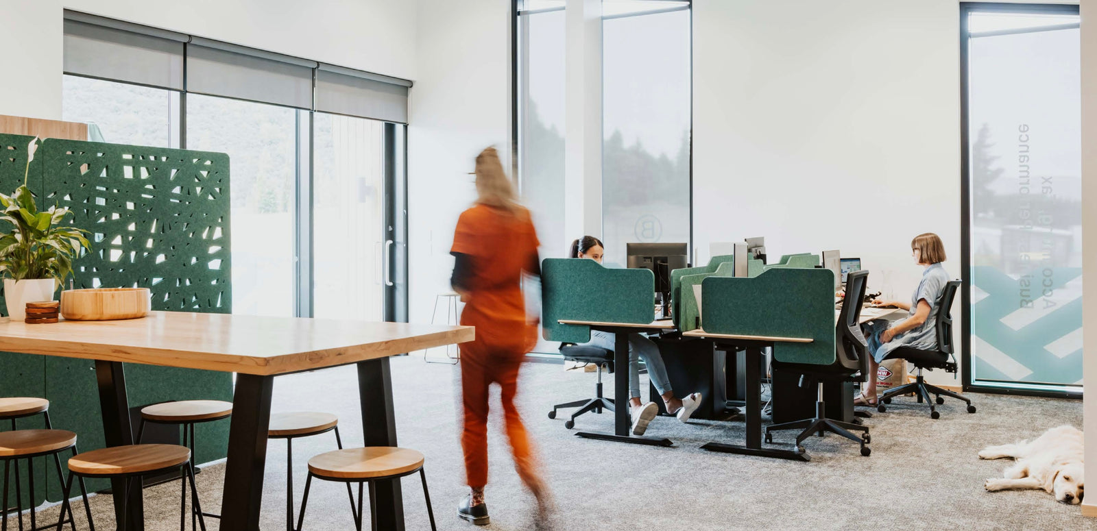 Green acoustic panels in an office setting