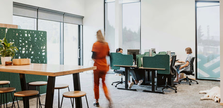 Green acoustic panels in an office setting