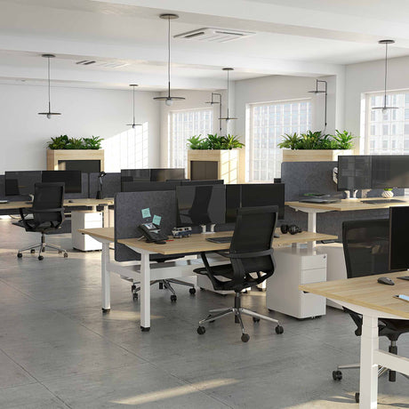 agile pod standing desk with atlantic oak top and white frame