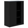 Rapid Tambour - Low-Office Storage-1200Hx900L (non locking)-Black-Commercial Traders - Office Furniture