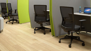 Mesh Office Chairs