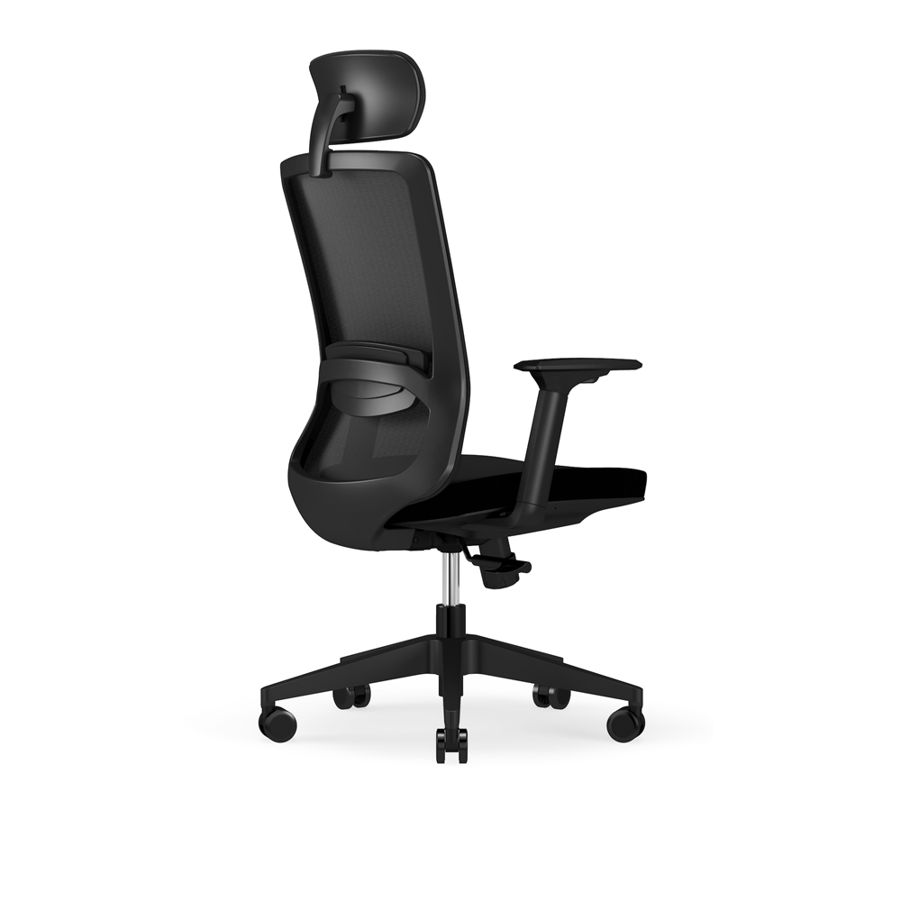 Elon Mesh Chair-Office Chairs-No Thanks-Black Nylon-North Island-Commercial Traders - Office Furniture