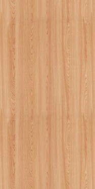 Acoustic TimberTone Wall and Ceiling Panel-Acoustic-Elm-Commercial Traders - Office Furniture