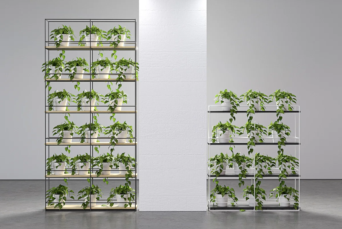 Planter Wall Frame - With Pots (No Plants)-Unclassified-Black Powdercoat-Commercial Traders - Office Furniture
