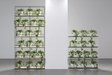 Planter Wall Frame - With Pots (No Plants)-Unclassified-Black Powdercoat-Commercial Traders - Office Furniture
