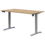 Rapid Boost - Value Electric Desk