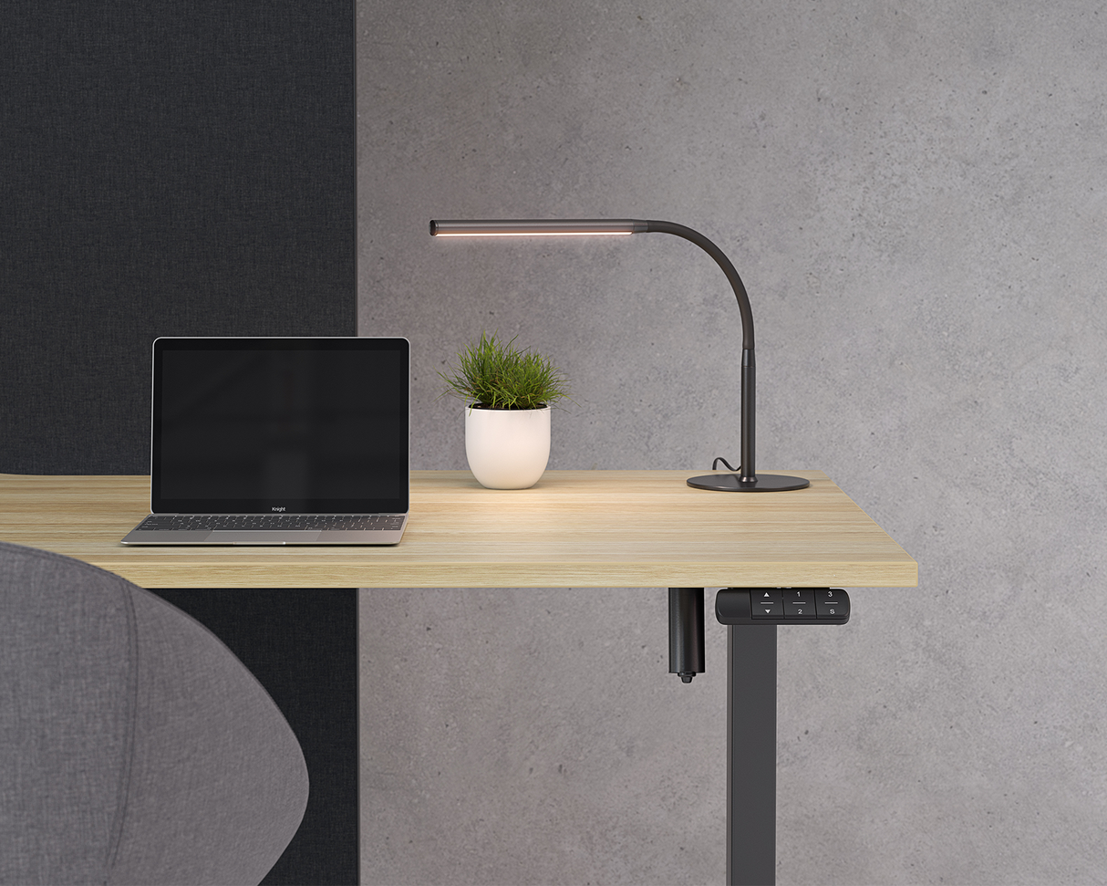 Haven Boost Height Adjustable Desk 1500 W-Desking-White-White-Commercial Traders - Office Furniture